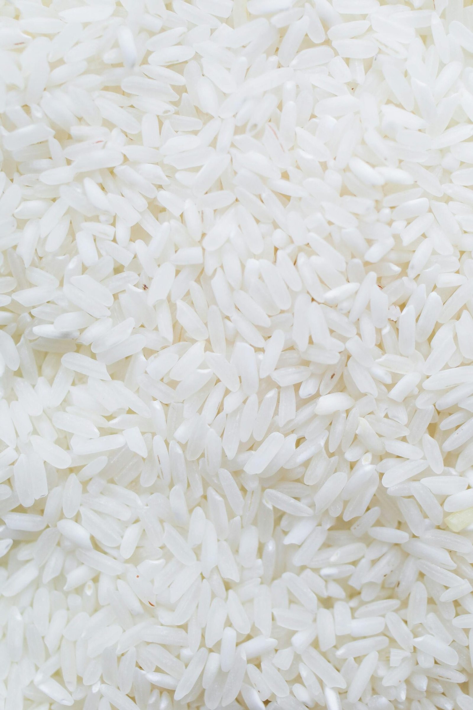 A detailed close-up shot showcasing a generous amount of white rice grains, ideal for culinary themes.